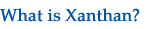 What is Xantham?
